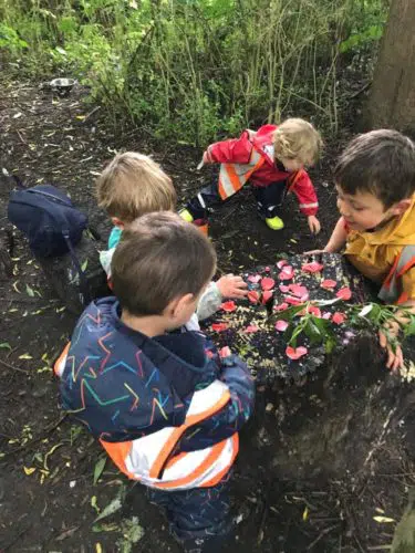 wild about play outdoor nursery forest school putney wild flowers